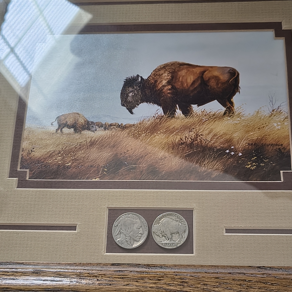 Framed Buffalo Print by Mary Rutledge with Two Buffalo Nickels